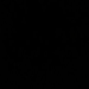 Meet your Posher, Isabella